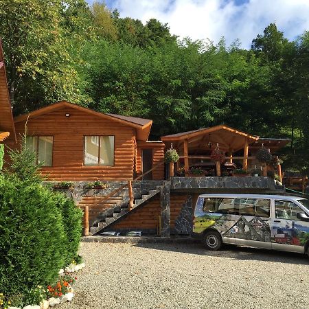 Vila Flora Viseu De Jos Ngoại thất bức ảnh