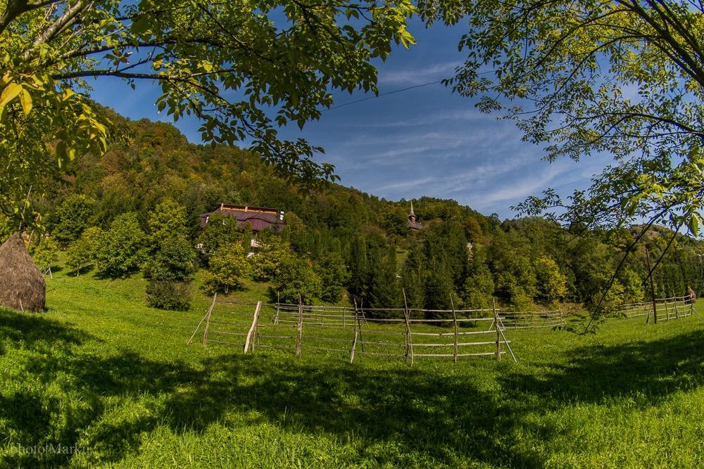 Vila Flora Viseu De Jos Ngoại thất bức ảnh