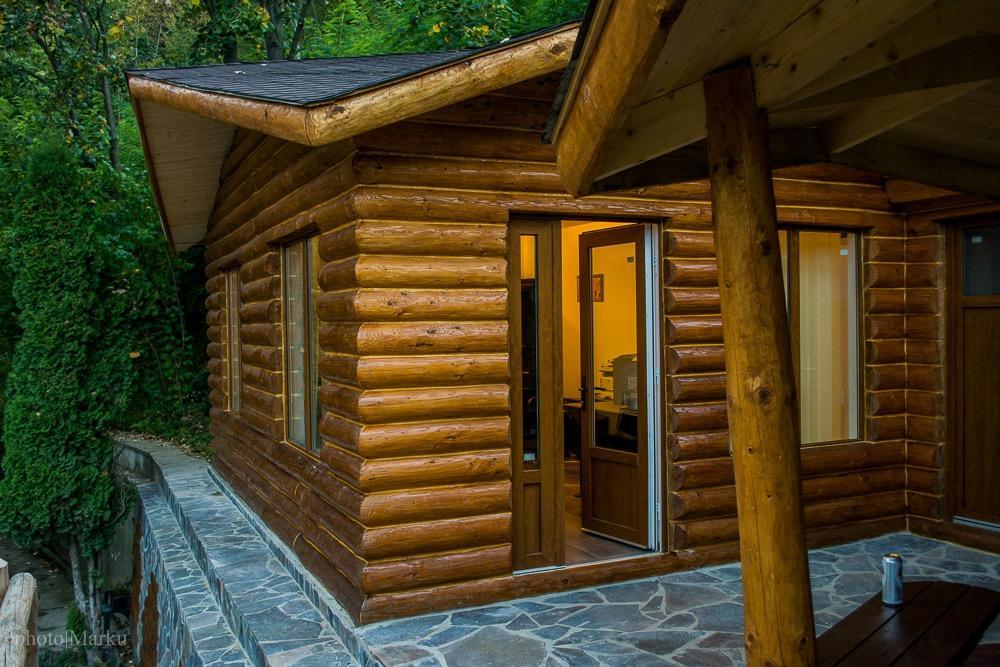 Vila Flora Viseu De Jos Ngoại thất bức ảnh