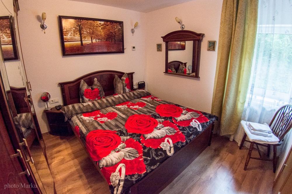 Vila Flora Viseu De Jos Ngoại thất bức ảnh